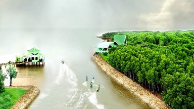  Duy trì dịch vụ hệ sinh thái Mũi Cà Mau trong bối cảnh biến đổi khí hậu