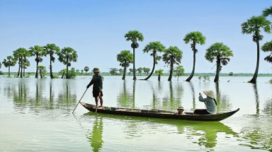  Đồng Tháp: Mưa đầu mùa gây thiệt hại về nhà ở và hoa màu