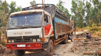  Đắk Nông: Tranh chấp rừng trồng, doanh nghiệp tố Tướng công an
