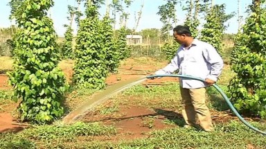  Mô hình hiệu quả giúp nông dân giảm thiểu những tác động xấu do biến đổi khí hậu