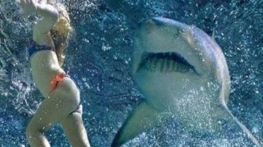 Nữ du khách nghi bị cá tấn công khi tắm biển tại Nha Trang