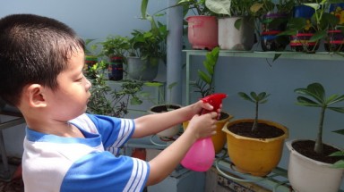 Thư ngỏ gửi các trường học: Để có một Việt Nam xanh đẹp hơn cho thế hệ mai sau