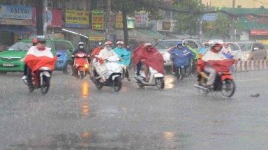  Xuất hiện đợt mưa vàng trên vùng đất khô hạn Ninh Thuận