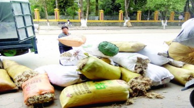 Không xem rêu đá là dược liệu