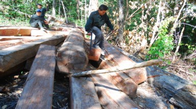  ​Nóng bỏng cuộc chiến giữ rừng ở Sa Thầy