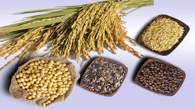  Ăn ngũ cốc để sống thọ hơn