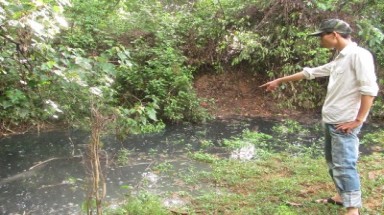   Tây Ninh: Hơn 1,3 ha rừng bị chết do nước xả thải từ nhà máy chế biến mủ cao su 