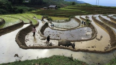  Thời tiết ngày 28 tháng 4: Miền Bắc mưa dông vào chiều tối, miền Nam có nơi nắng nóng 