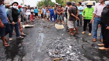  Khánh Hòa: Dân tụ tập đổ tôm, cá chết trước trụ sở UBND phường