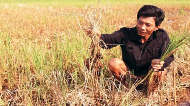  Một giải pháp nước cho Đồng bằng sông Cửu Long