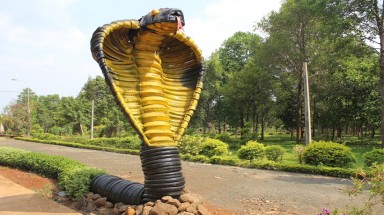  Lâm Viên tái chế tại Thành phố Buôn Mê Thuột