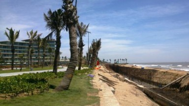  Thanh Hóa: Để tư nhân xóa xổ rừng phòng hộ, bí thư Sầm Sơn sắp bị khiển trách