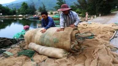 Cá ở tầng nước sâu ồ ạt vào gần bờ biển Huế