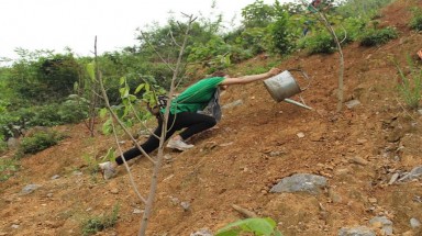 Góp thêm màu xanh cho cột mốc tâm linh vùng biên cương tổ quốc