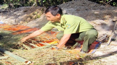  Bình Phước đào hồ chứa nước phòng chống cháy rừng tại chỗ