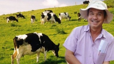  HAGL: Vỡ mộng phân bò..., nợ lương cầu thủ