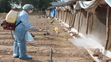  Triển khai tháng vệ sinh, tiêu độc khử trùng môi trường