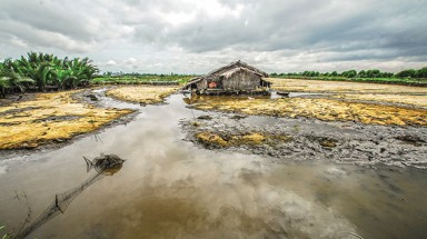  Độ mặn ở khu vực Nam Bộ sẽ tăng trở lại