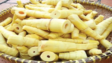  Đà Nẵng phát hiện nhuộm măng tươi bằng chất màu sơn tường