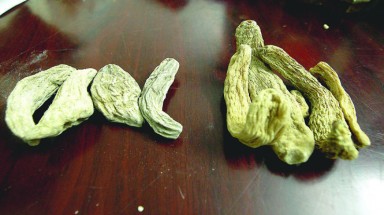  "Dược liệu nhập lậu chỉ còn là rác"
