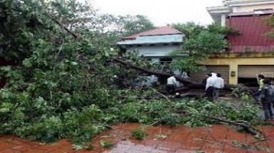  Kon Tum: Hơn 5.000 hộ dân bị mất điện do mưa lớn