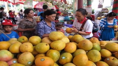  Bình Dương: Hấp dẫn lễ hội Lái Thiêu mùa trái chín