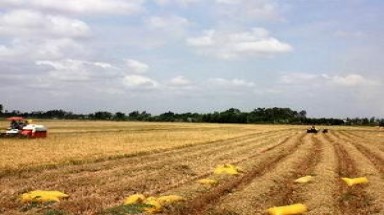 FAO trao giải thưởng giảm đói nghèo cho Việt Nam