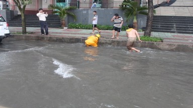  TPHCM mưa lớn, đường thành sông, cây bật gốc