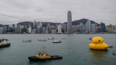  Chú vịt cao su khổng lồ cập bến cảng Hong Kong