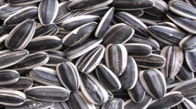 Hạt hướng dương ở TP.HCM vẫn trong ngưỡng an toàn