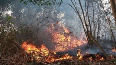  Hỏa hoạn thiêu rụi 20ha rừng phòng hộ Sông Hinh 