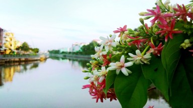 "Một thoáng Nhiêu Lộc" - Ảnh dự thi của Phạm Quý Đạt