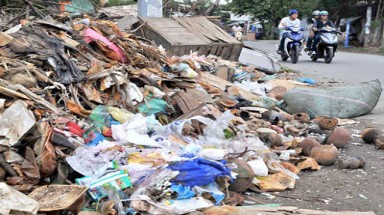   TPHCM: Hướng tới mục tiêu thành phố không rác thải 