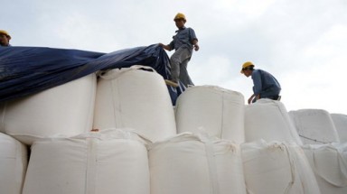     Vị đắng bauxite ở Tây Nguyên 