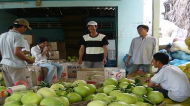 Lo mất thương hiệu bưởi Năm Roi