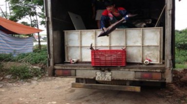    Nhập lậu cá, ếch... từ Trung Quốc