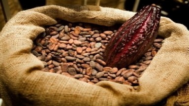    Cargill xây nhà máy chế biến cacao đầu tiên ở châu Á
