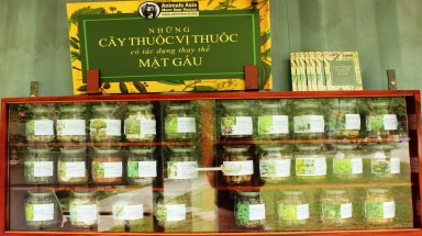  Phát hành cuốn sách "Những cây thuốc vị thuốc có tác dụng thay thế mật gấu"
