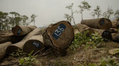  Bầu Đức: Global Witness báo cáo tào lao