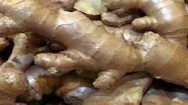     Gừng nhập từ Trung Quốc có thuốc sâu cực độc