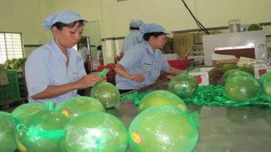    Dự luật Bảo vệ và kiểm dịch thực vật: Đề nghị làm rõ trách nhiệm của Bộ NNPTNT
