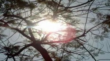  Bắc bộ mưa dông về chiều, Trung bộ nắng nóng 