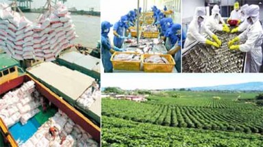  Tây Nguyên - biến tiềm năng thành thế mạnh phát triển 