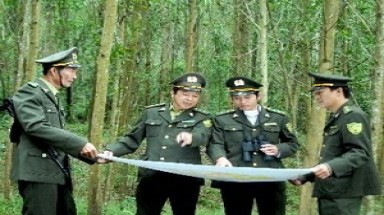  Nên giao trực tiếp thay vì “khoán” 