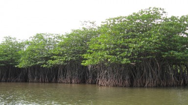  Phát triển bền vững biển đảo Việt Nam