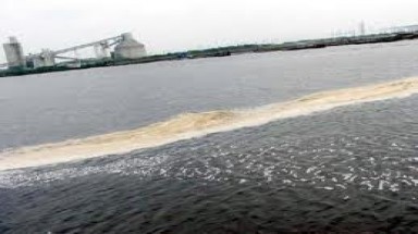  Sông Đồng Nai tại khu vực qua đô thị Biên Hoà bị ô nhiễm nặng