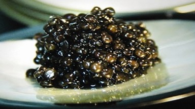  Món trứng cá tầm nghìn đô