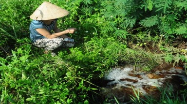  Ô nhiễm ở dự án bò sữa TH True Milk: 700 hộ dân phải di dời