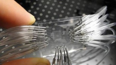   Có thể phát hiện ung thư sớm bằng nanochip?