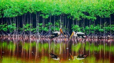  Sử dụng hợp lý đất ngập nước tại các khu Ramsar